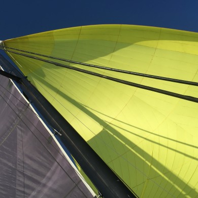 Big Spinnaker - yellow like the sun (3)