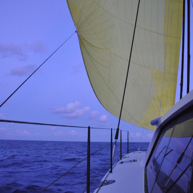 Big yellow spinnaker