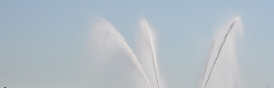 Water-parade