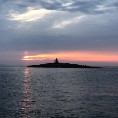 Sunrise in Maine Island with one singe tree