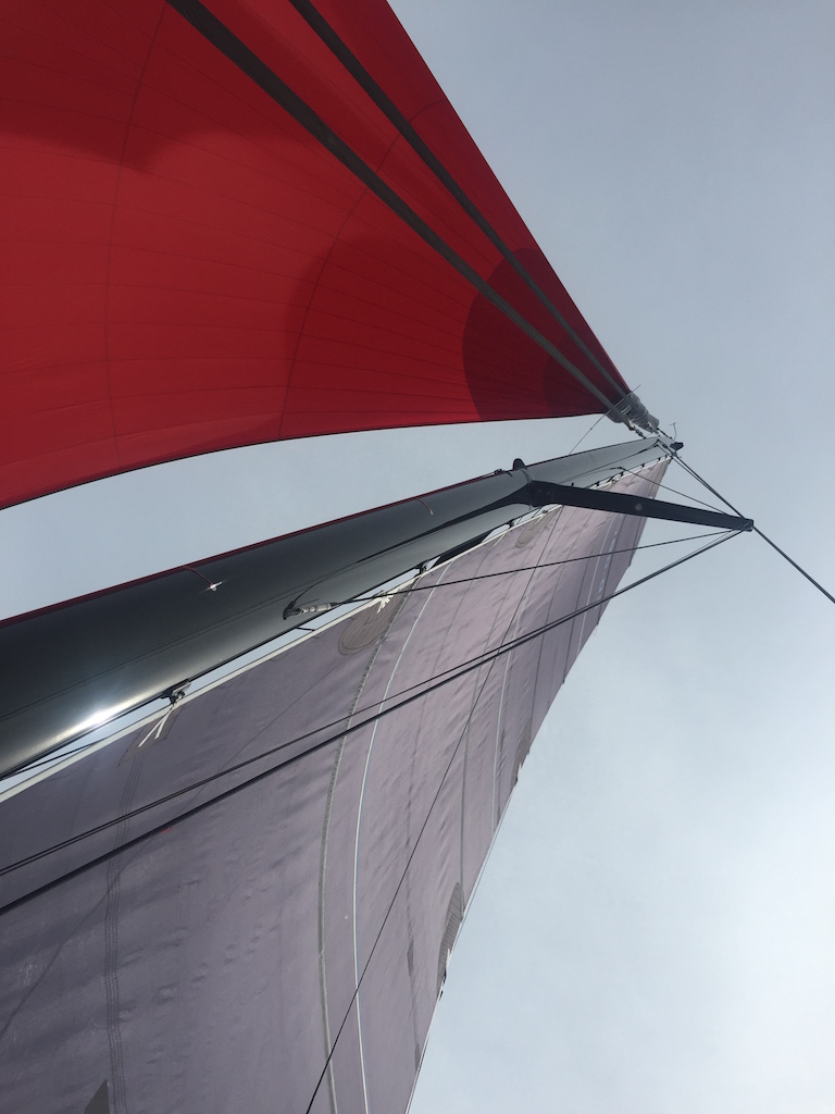 Transat Red Spinnaker