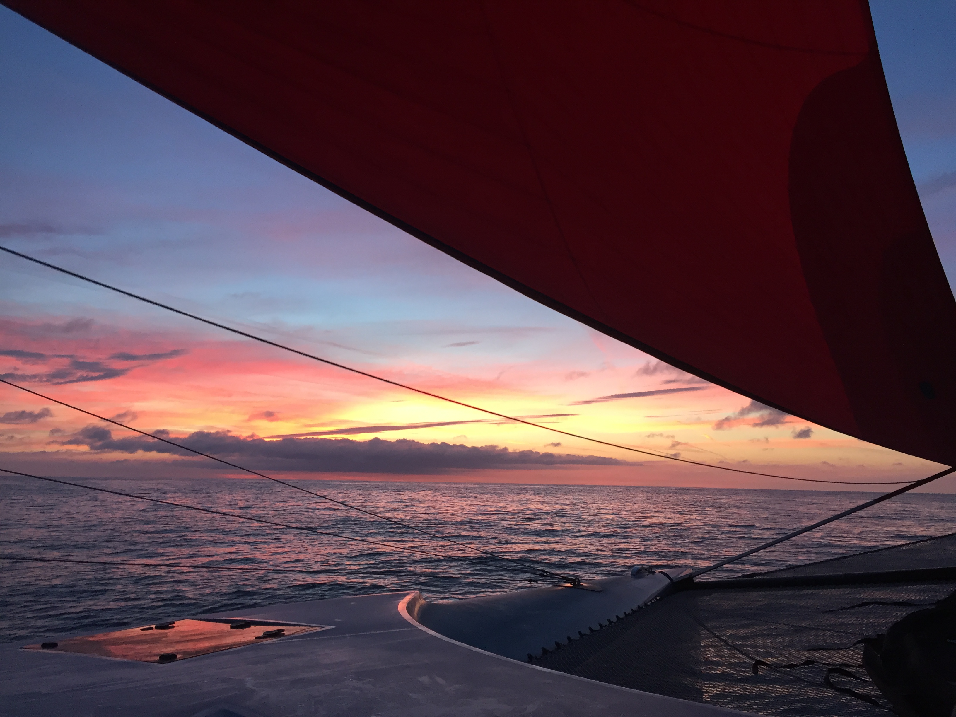 Transat Spinnaker Sunrise