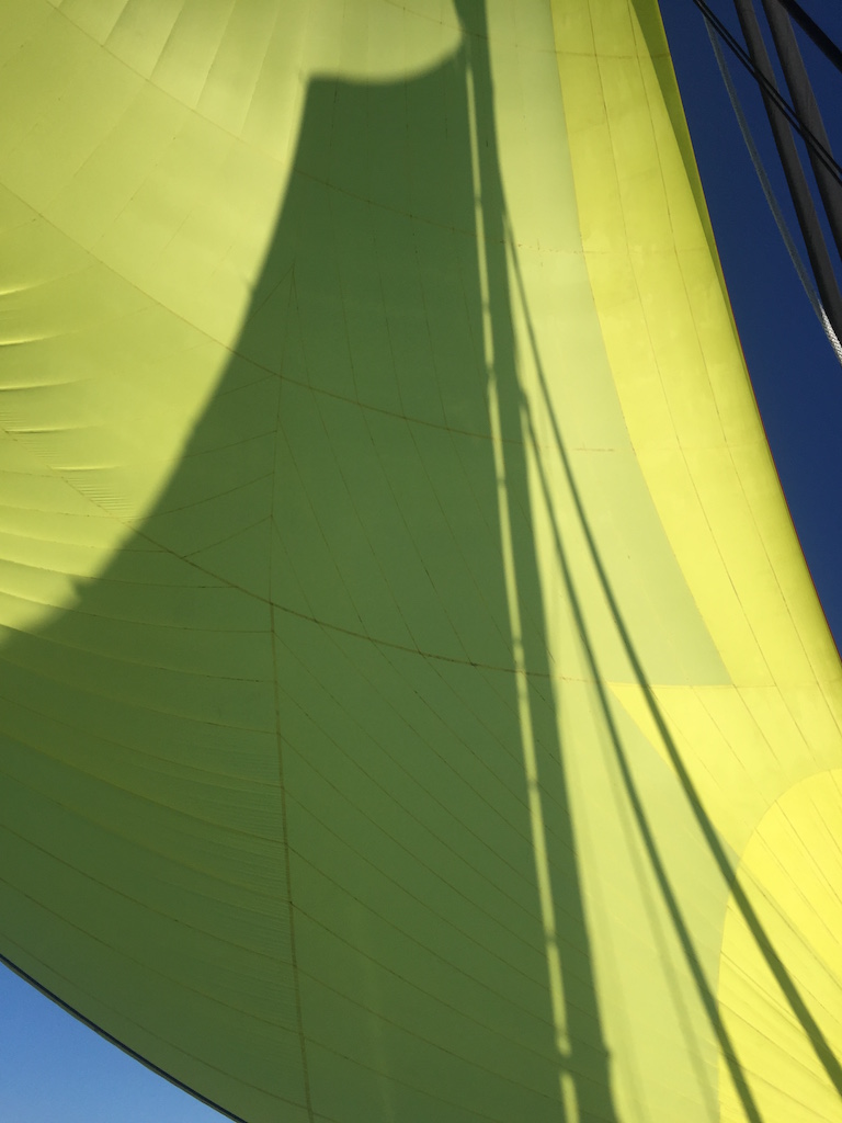 Transat Yellow Spinnaker Main Sail Shadow