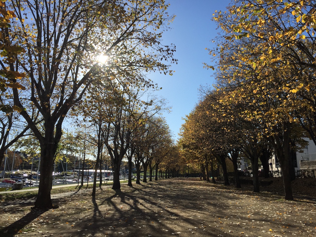 vannes-in-fall-3