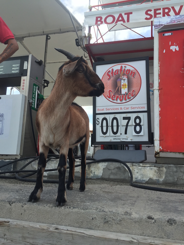 Lila from the gas station in St. Martin