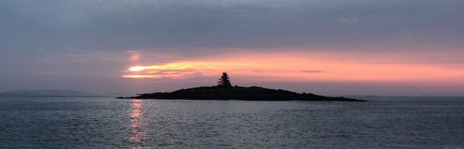 Sunrise in Maine Island with one singe tree